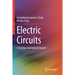 Electric Circuits: A Concise, Conceptual Tutorial