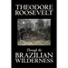 Through the Brazilian Wilderness by Theodore Roosevelt, Travel, Special Interest, Adventure, Essays & Travelogues
