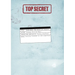 Blue Book: The Great UFO Project