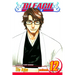 Bleach, Vol. 12