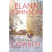 Christmas Cowboy: A Mulbury Boys Novel
