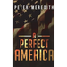 A Perfect America