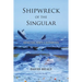 Shipwreck of the Singular: Healthcare's Castaways