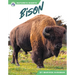 Bison
