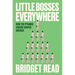 Little Bosses Everywhere: How the Pyramid Scheme Shaped America