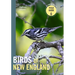 Birds of New England: A Timber Press Field Guide
