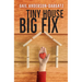 Tiny House, Big Fix