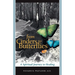 From Cinders to Butterflies: A Spiritual Journey to Healing