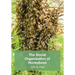 The Social Organisation of Honeybees