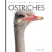 Ostriches