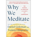 Why We Meditate: The Science and Practice of Clarity and Compassion