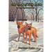 The Story of Lilly & Lou: Based on a True Story