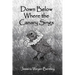 Down Below Where the Canary Sings: Love, Loss, and Appalachia