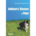 Addison's Disease in Dogs