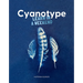 Cyanotype: Learn in a Weekend