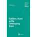 Guidance Cues in the Developing Brain