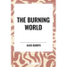 Burning World