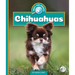 Chihuahuas