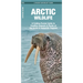 Arctic Wildlife: A Folding Pocket Guide to Familiar Animals & Plants of the Arctic and Subarctic Regions