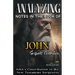Analyzing Notes in the Book of John: John's Contribution to the New Testament Scriptures