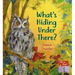 What's Hiding Under There?: A Magical Lift-The-Flap Book