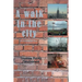 A Walk in the City: An Incomplete Tour