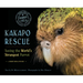 Kakapo Rescue: Saving the World's Strangest Parrot