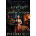The Mystery of the Missing Heiress