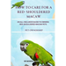 How to Care for a Red-Shouldered Macaw: An All-Inclusive Guide to Owning Red-Shouldered Macaw Pets