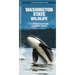 Washington State Wildlife: A Folding Pocket Guide to Familiar Animals