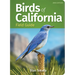 Birds of California Field Guide
