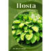 Hosta: Plant overview and guide