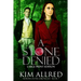 A Stone Denied: A Time Travel Romantic Adventure Large Print