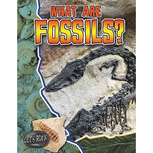 What Are Fossils?