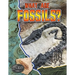 What Are Fossils?