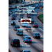 Driving Tips for BOOH's (Bats Out Of Hell): A Satirical & Humorous Instruction Manual