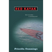 Red Kayak