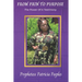 From Pain To Purpose