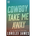 Cowboy Take Me Away