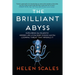 The Brilliant Abyss: Exploring the Majestic Hidden Life of the Deep Ocean, and the Looming Threat That Imperils It