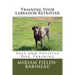 Training Your Labrador Retriever: Easy and Positive Dog Training
