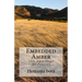 Embedded Amber: Soul- in Search of the Solace