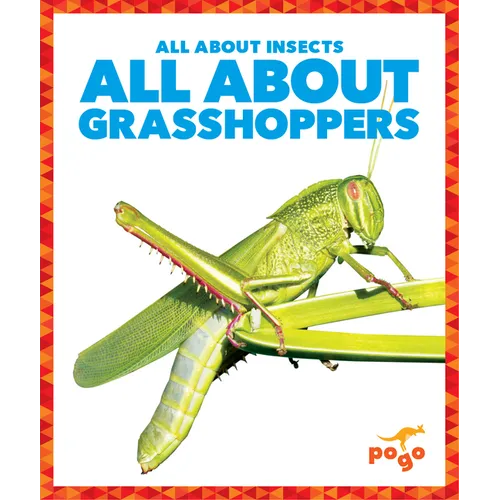 All about Grasshoppers