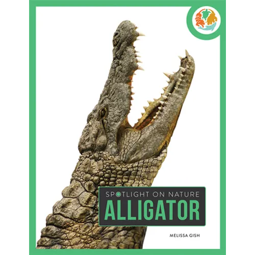 Alligator