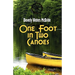 One Foot in Two Canoes