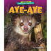 Aye-Aye