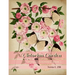 Victorian Garden: Greyscale Colouring Book 3