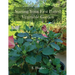 Starting Your First Potted Vegetable Garden: How to Create a Garden Oasis (A Guide)