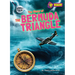 The Story of the Bermuda Triangle