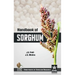 Handbook of Sorghum